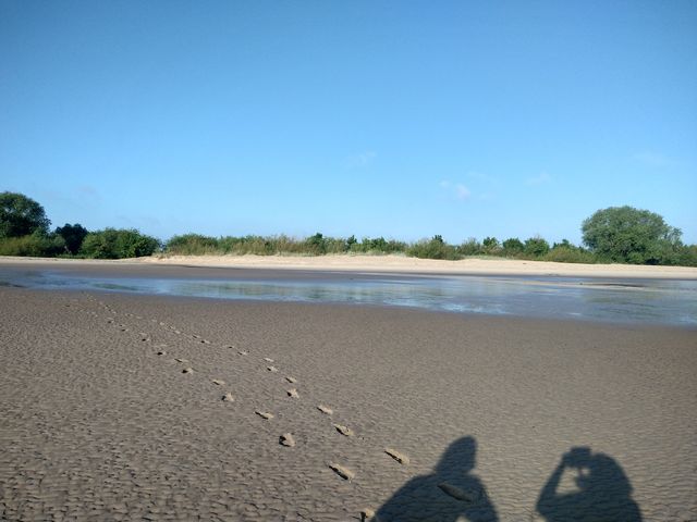 Der Elbstrand bei Bassenfleth